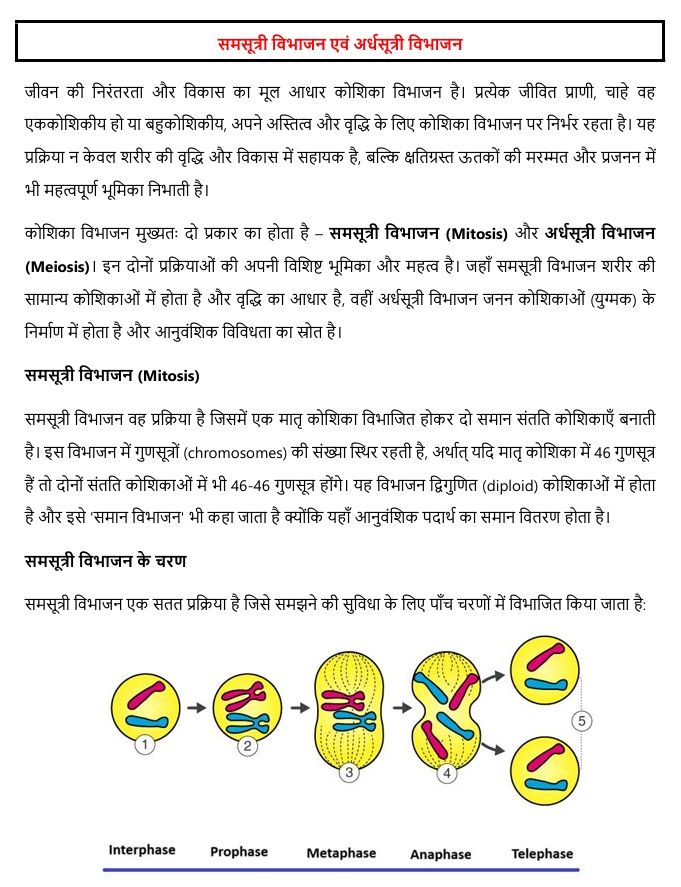 Sample notes preview page 2