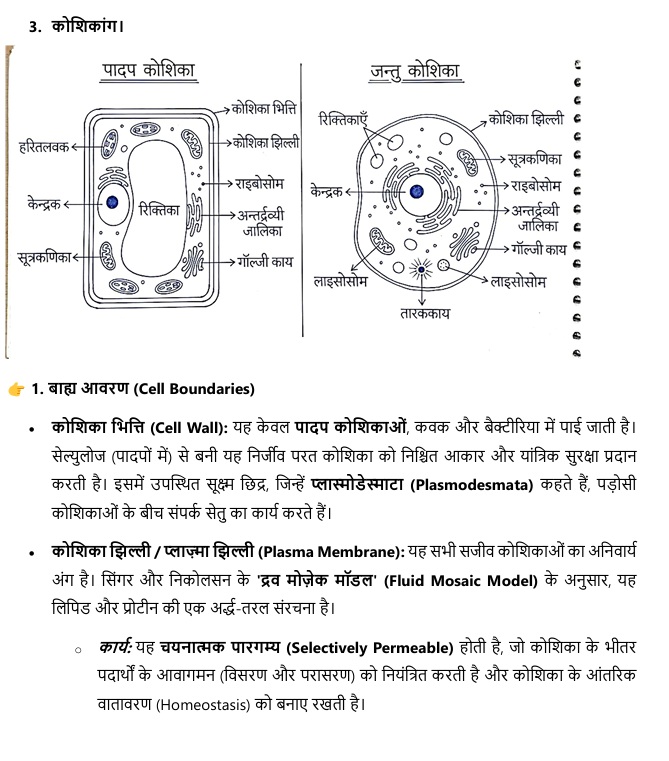 Sample notes preview page 6