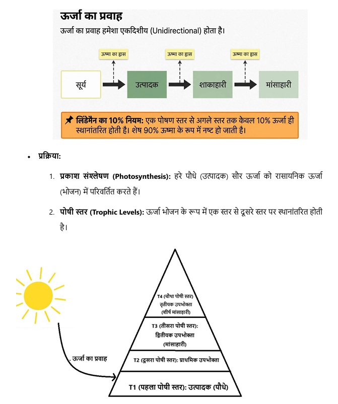 Sample notes preview page 8